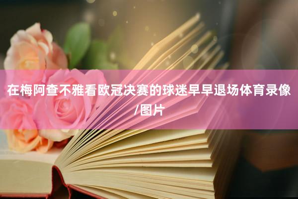 在梅阿查不雅看欧冠决赛的球迷早早退场体育录像/图片