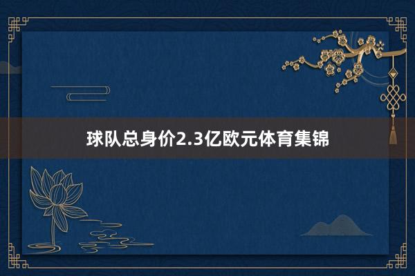 球队总身价2.3亿欧元体育集锦