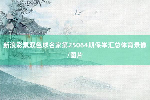 新浪彩票双色球名家第25064期保举汇总体育录像/图片