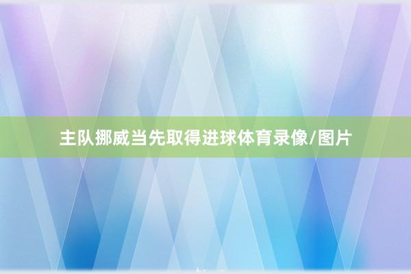 主队挪威当先取得进球体育录像/图片