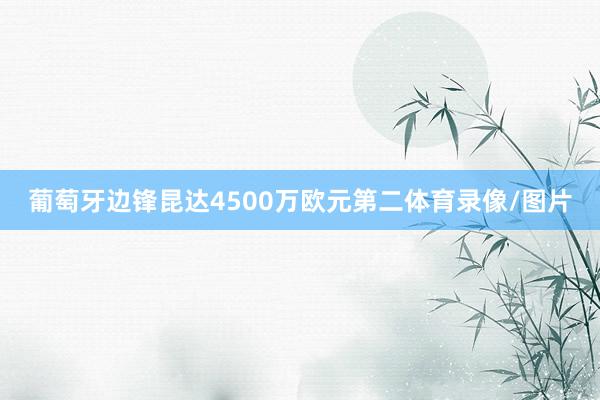 葡萄牙边锋昆达4500万欧元第二体育录像/图片