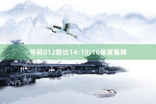 号码012路比14:15:16体育集锦