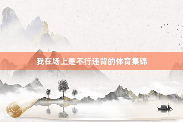 我在场上是不行违背的体育集锦