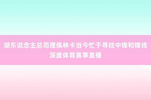 湖东说念主总司理佩林卡当今忙于寻找中锋和锋线深度体育赛事直播
