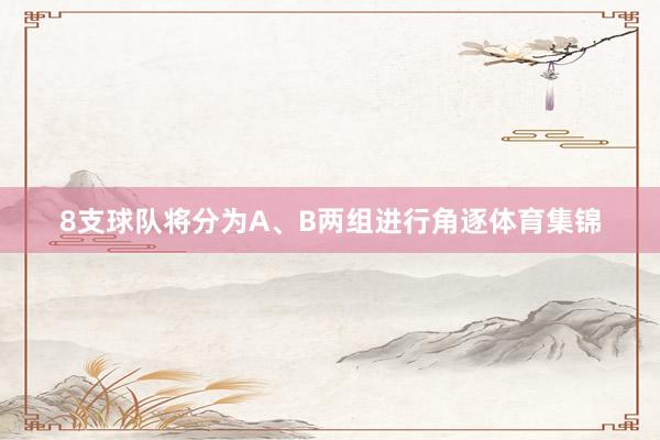 8支球队将分为A、B两组进行角逐体育集锦