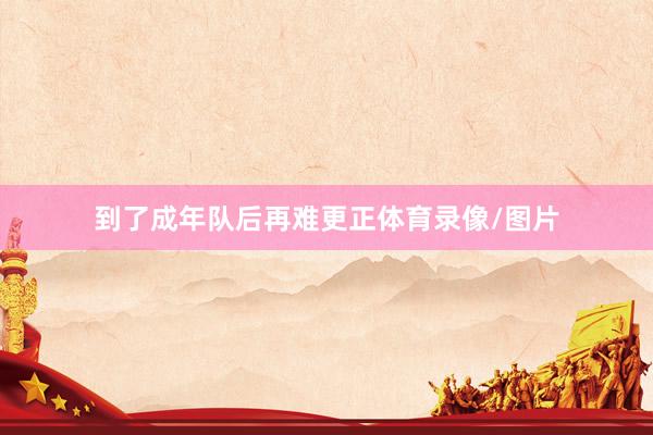 到了成年队后再难更正体育录像/图片