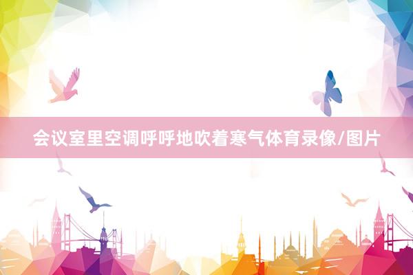 会议室里空调呼呼地吹着寒气体育录像/图片