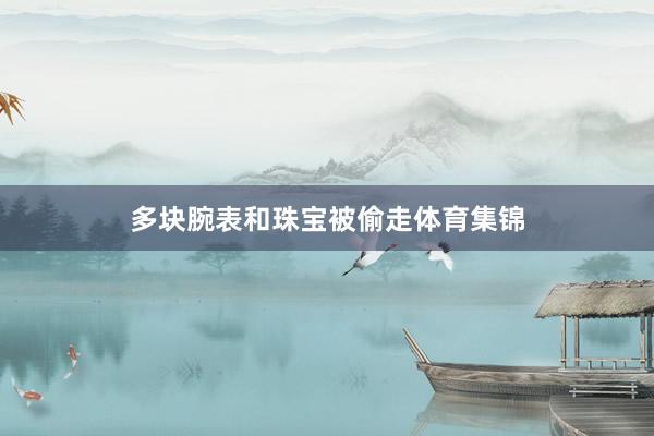 多块腕表和珠宝被偷走体育集锦