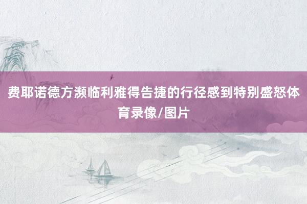 费耶诺德方濒临利雅得告捷的行径感到特别盛怒体育录像/图片