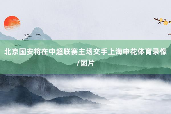 北京国安将在中超联赛主场交手上海申花体育录像/图片