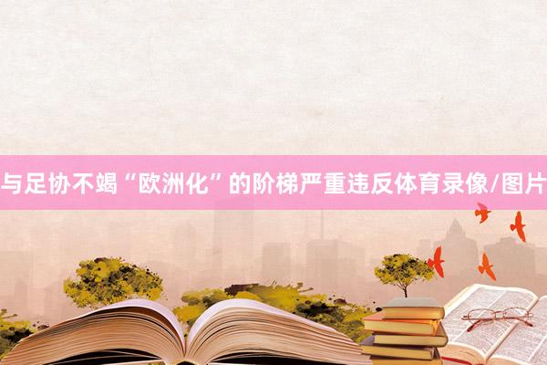 与足协不竭“欧洲化”的阶梯严重违反体育录像/图片