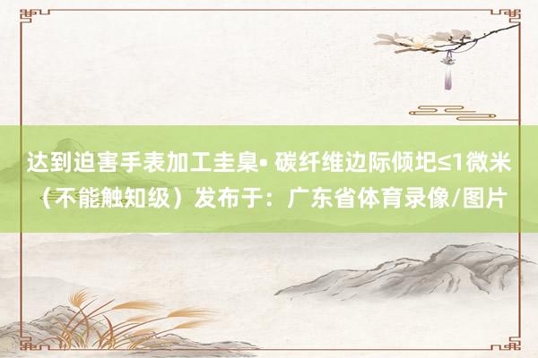 达到迫害手表加工圭臬• 碳纤维边际倾圯≤1微米（不能触知级）发布于：广东省体育录像/图片