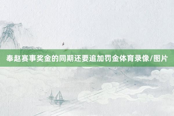 奉赵赛事奖金的同期还要追加罚金体育录像/图片