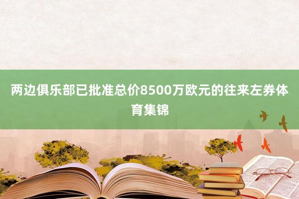 两边俱乐部已批准总价8500万欧元的往来左券体育集锦
