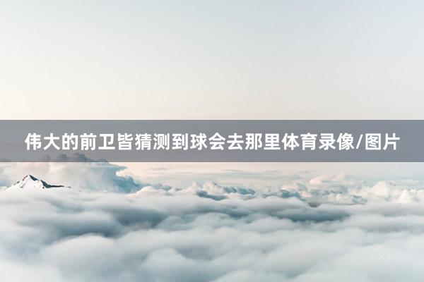 伟大的前卫皆猜测到球会去那里体育录像/图片