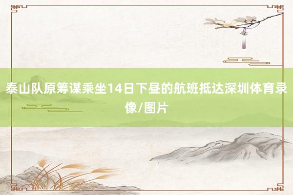 泰山队原筹谋乘坐14日下昼的航班抵达深圳体育录像/图片