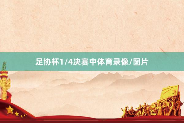 足协杯1/4决赛中体育录像/图片
