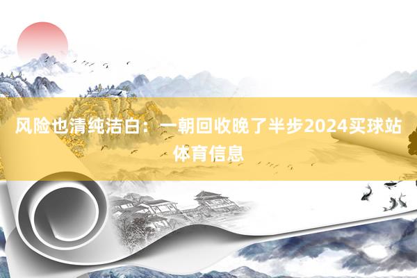 风险也清纯洁白：一朝回收晚了半步2024买球站体育信息