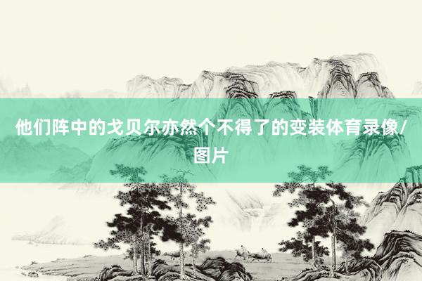 他们阵中的戈贝尔亦然个不得了的变装体育录像/图片