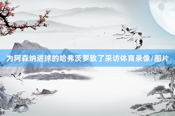 为阿森纳进球的哈弗茨罗致了采访体育录像/图片