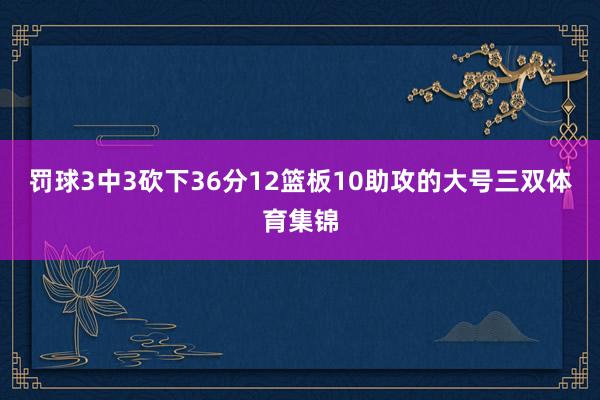 罚球3中3砍下36分12篮板10助攻的大号三双体育集锦