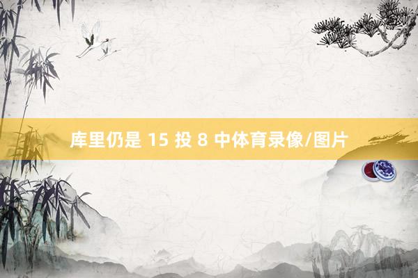 库里仍是 15 投 8 中体育录像/图片