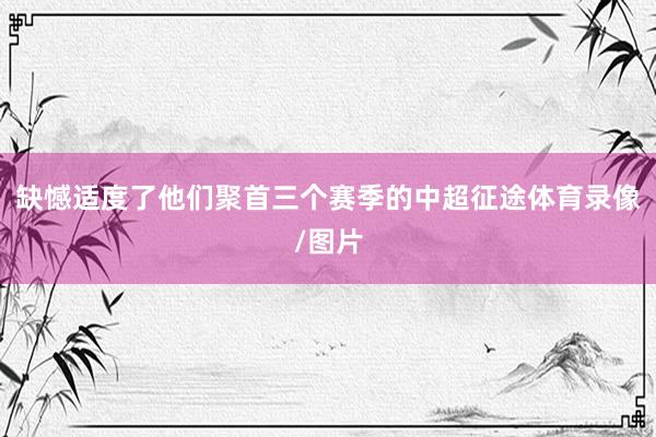 缺憾适度了他们聚首三个赛季的中超征途体育录像/图片