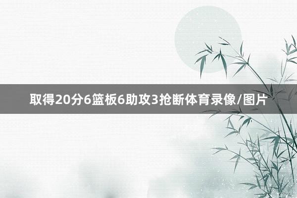 取得20分6篮板6助攻3抢断体育录像/图片