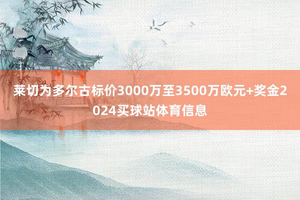 莱切为多尔古标价3000万至3500万欧元+奖金2024买球站体育信息