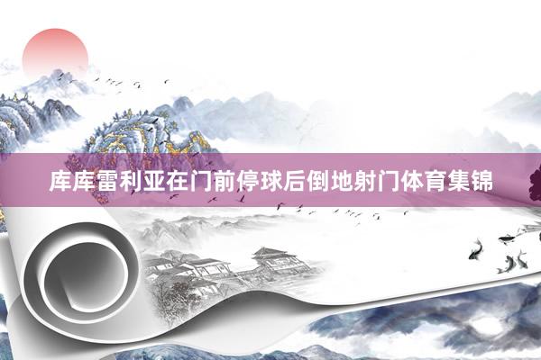 库库雷利亚在门前停球后倒地射门体育集锦