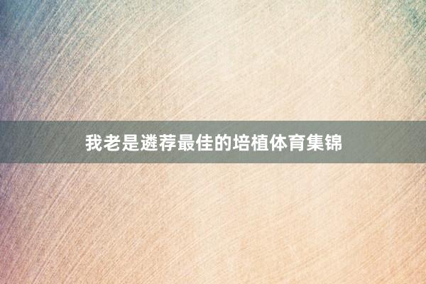 我老是遴荐最佳的培植体育集锦