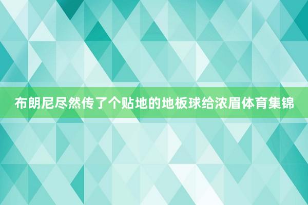 布朗尼尽然传了个贴地的地板球给浓眉体育集锦